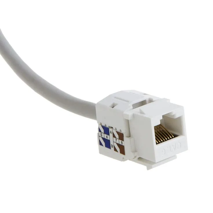 D-Link CAT6 Network I/O (Keystone Jack)