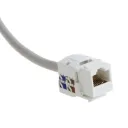 D-Link CAT6 Network I/O (Keystone Jack)